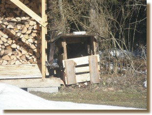 Suchbild: Wo ist das Reh?