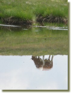 Spiegleine, Spieglein an der Wand, ...