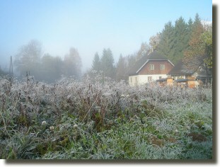 Natur Pur