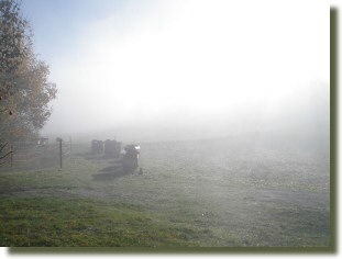 Nebelstimmung
