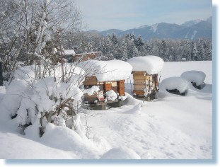 Winterntraum