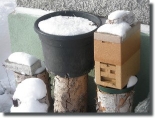 Kleiner Ausreier