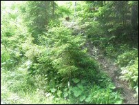 Wanderweg - steil und eng