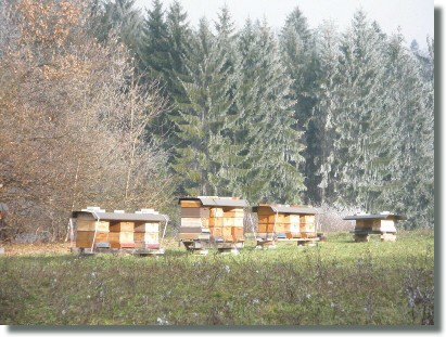 nicht Herbst, nicht Winter ...