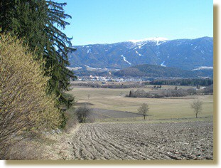 Bruneck, Kronplatz, Haselblte, Frhlingsduft