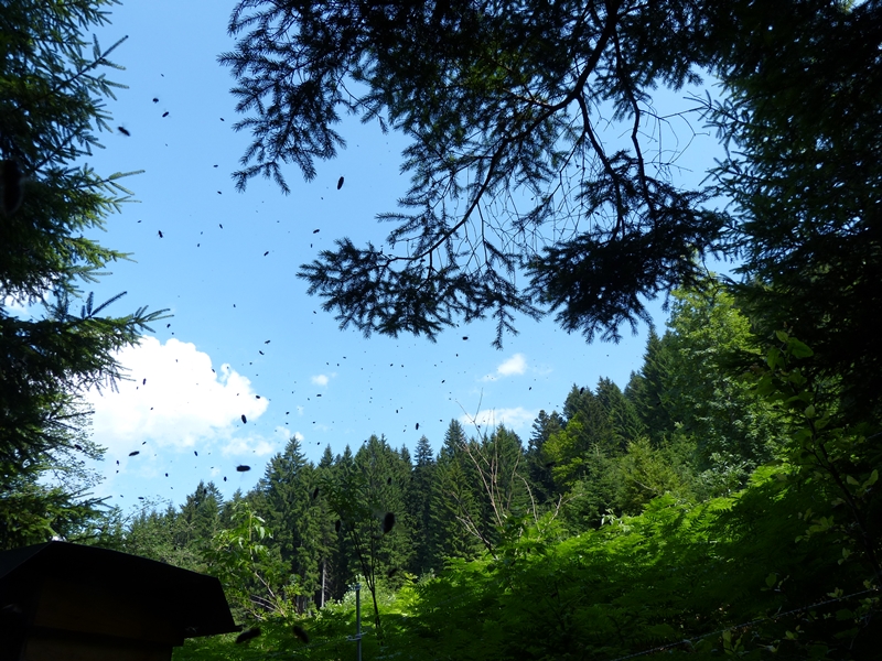 Volltracht am Berg