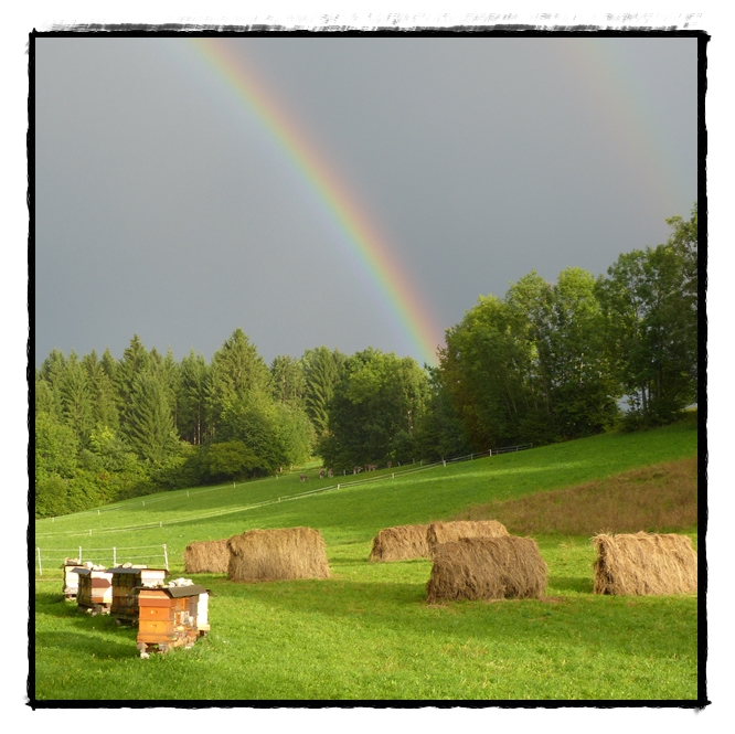 Regenbogen in Wittenig