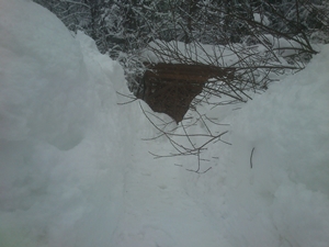 Schnee