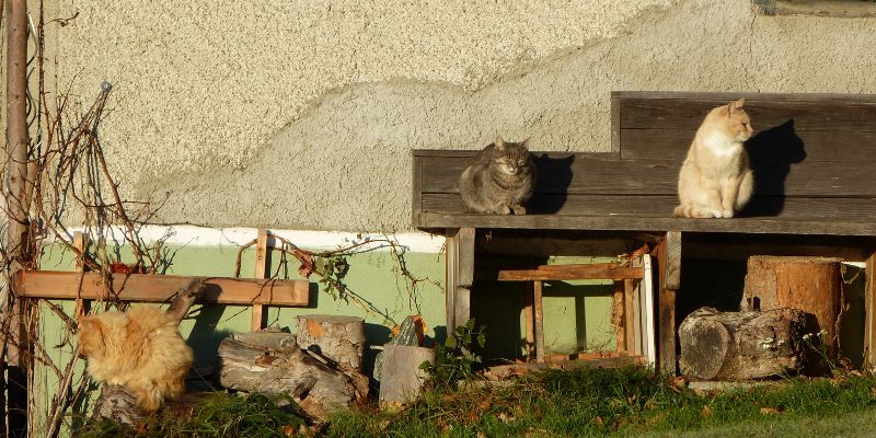 Ostwand Sockel grn