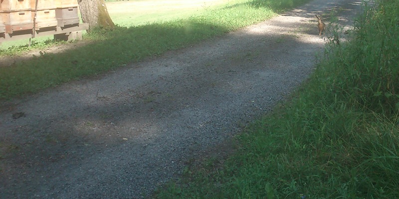 Suchbild