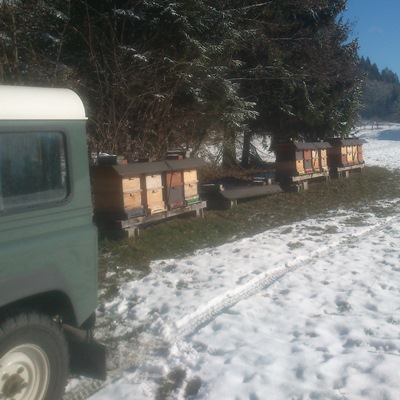 Wintervisite