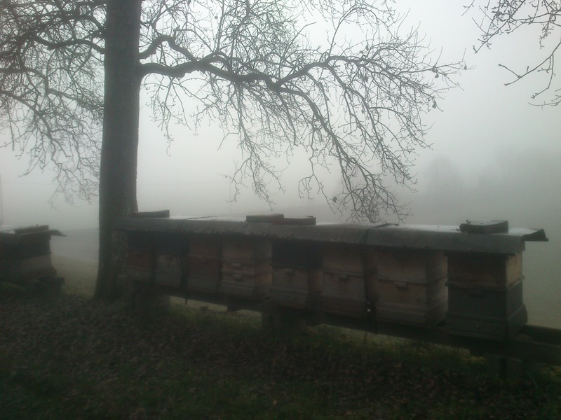 Nebel