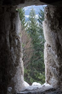 Blick in das neue Jahr