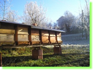 Bienenstand im Winter