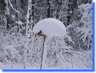 Vogelhaus im Schnee