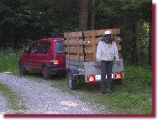 Bienenwandern