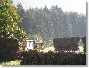 Sptsommerstimmung