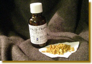 Propolistropfen und Rohpropolis