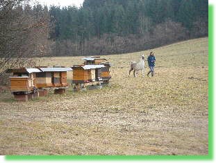 Gudrun, das Lama und die etwas anderen