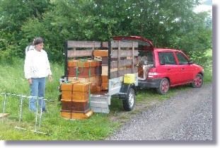 Verladen der Bienenstcke