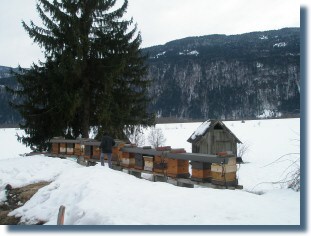 Emmersdorf im März
