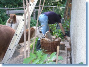 Alle helfen