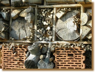 Insektenhotelbesucher
